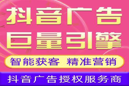 竞价广告策略案例分析